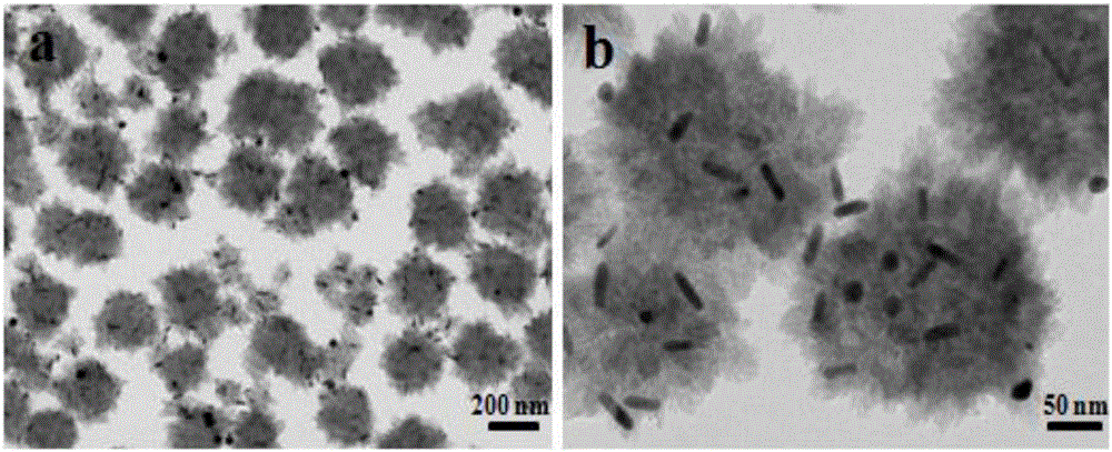 TiO2/Au nano-rod urchin-like heterostructure photocatalyst and preparation method thereof