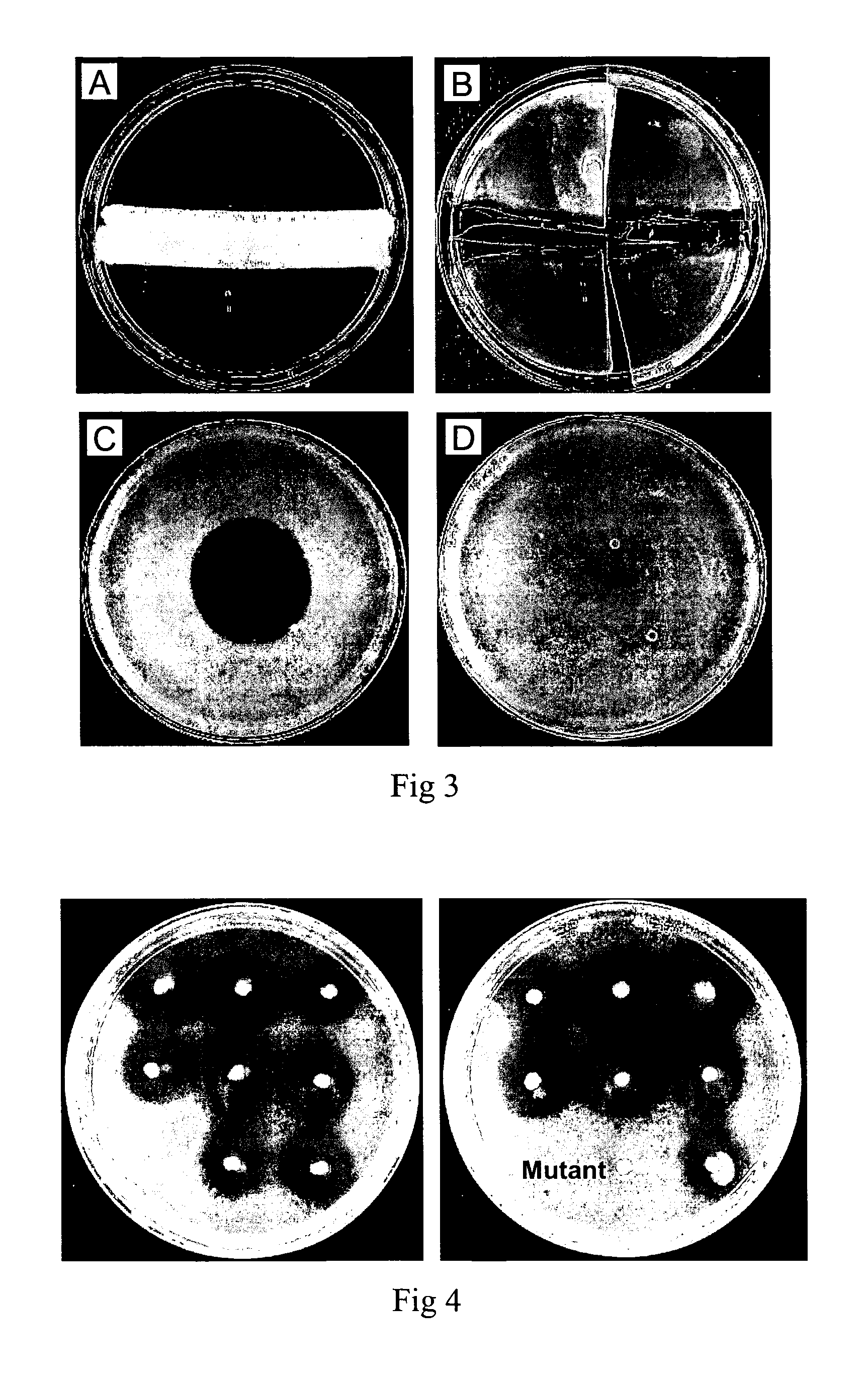 Antimicrobial agent and method for the production thereof