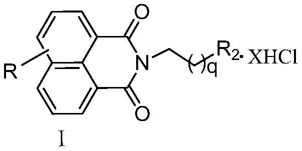 A kind of naphthalimide-polyamine conjugate and its preparation method and application