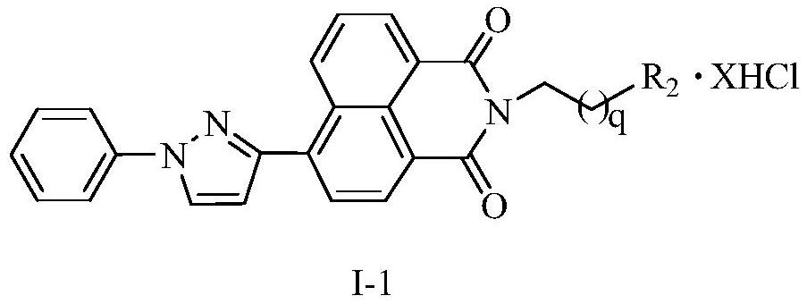 A kind of naphthalimide-polyamine conjugate and its preparation method and application