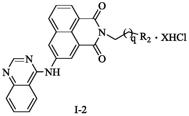 A kind of naphthalimide-polyamine conjugate and its preparation method and application