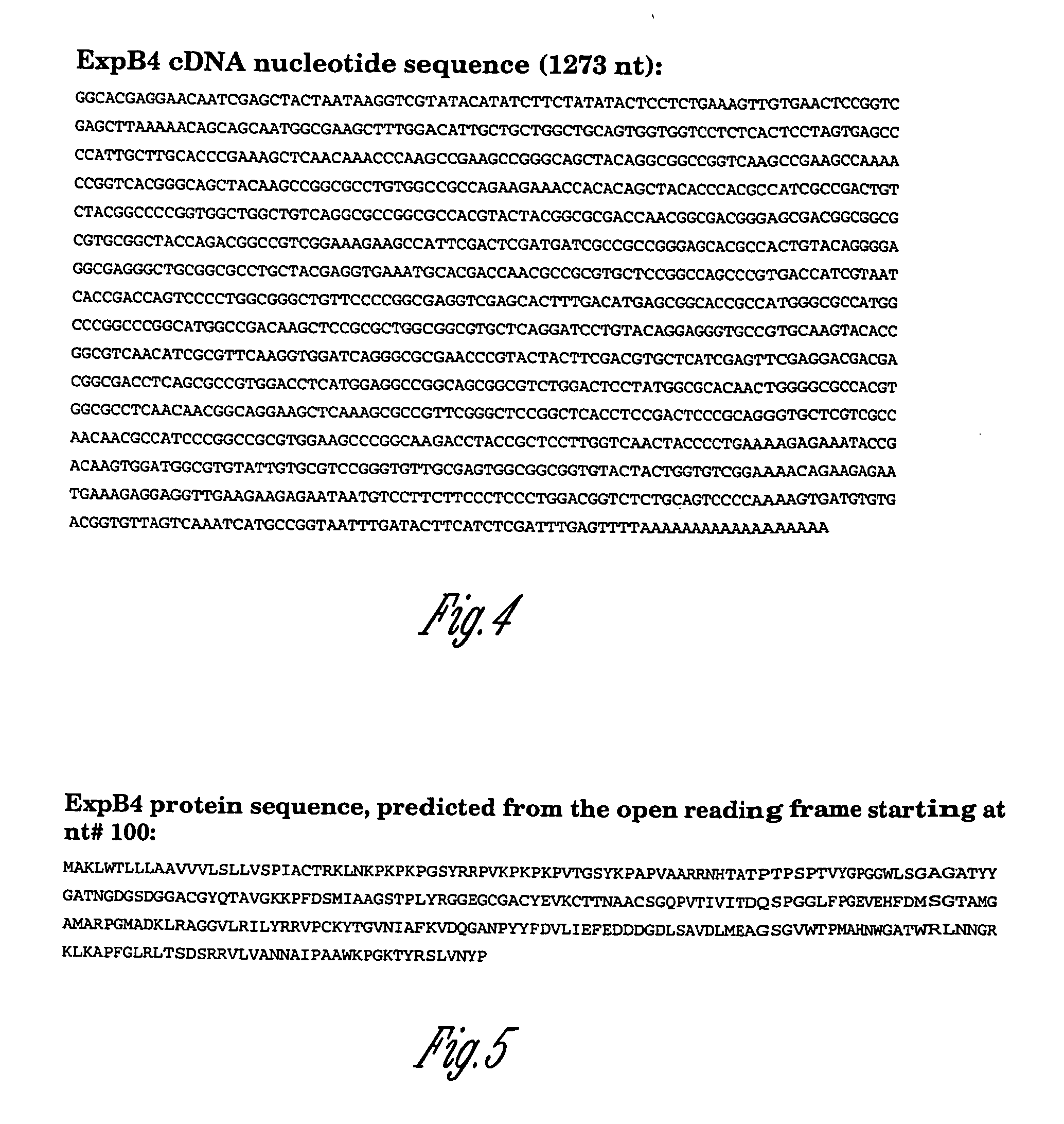 Novel expansin polynucleotides, related polypeptides and methods of use