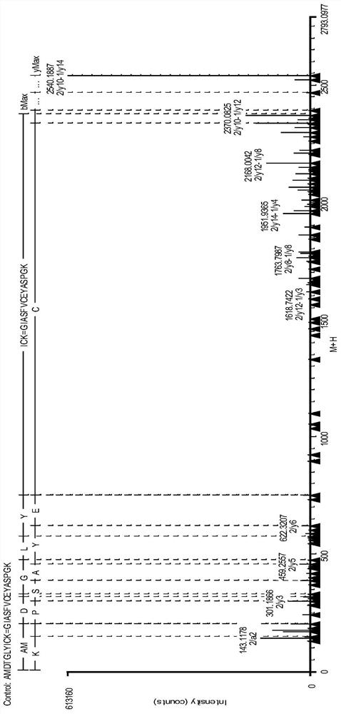 Fusion protein disulfide bond pairing analysis method