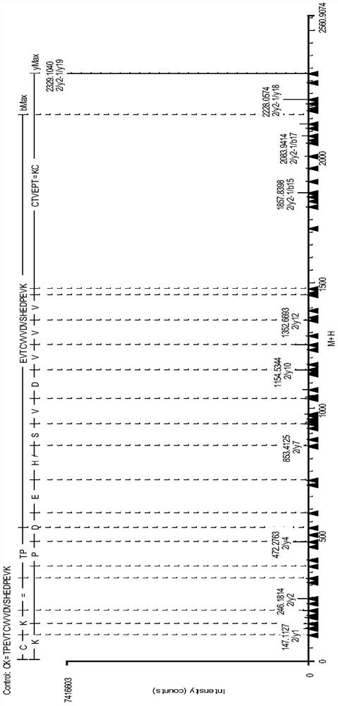 Fusion protein disulfide bond pairing analysis method