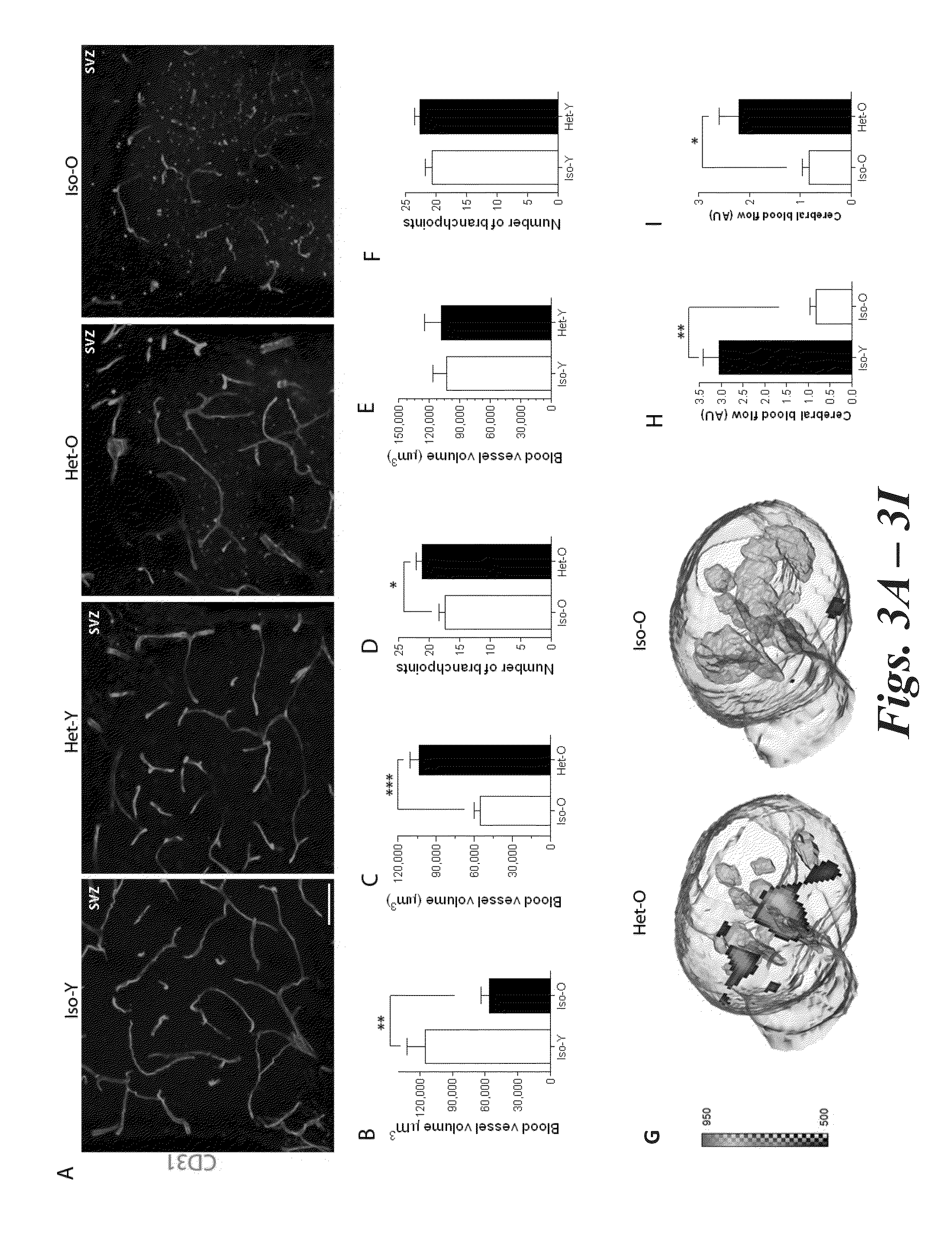 Methods and compositions for increasing neurogenesis and angiogenesis