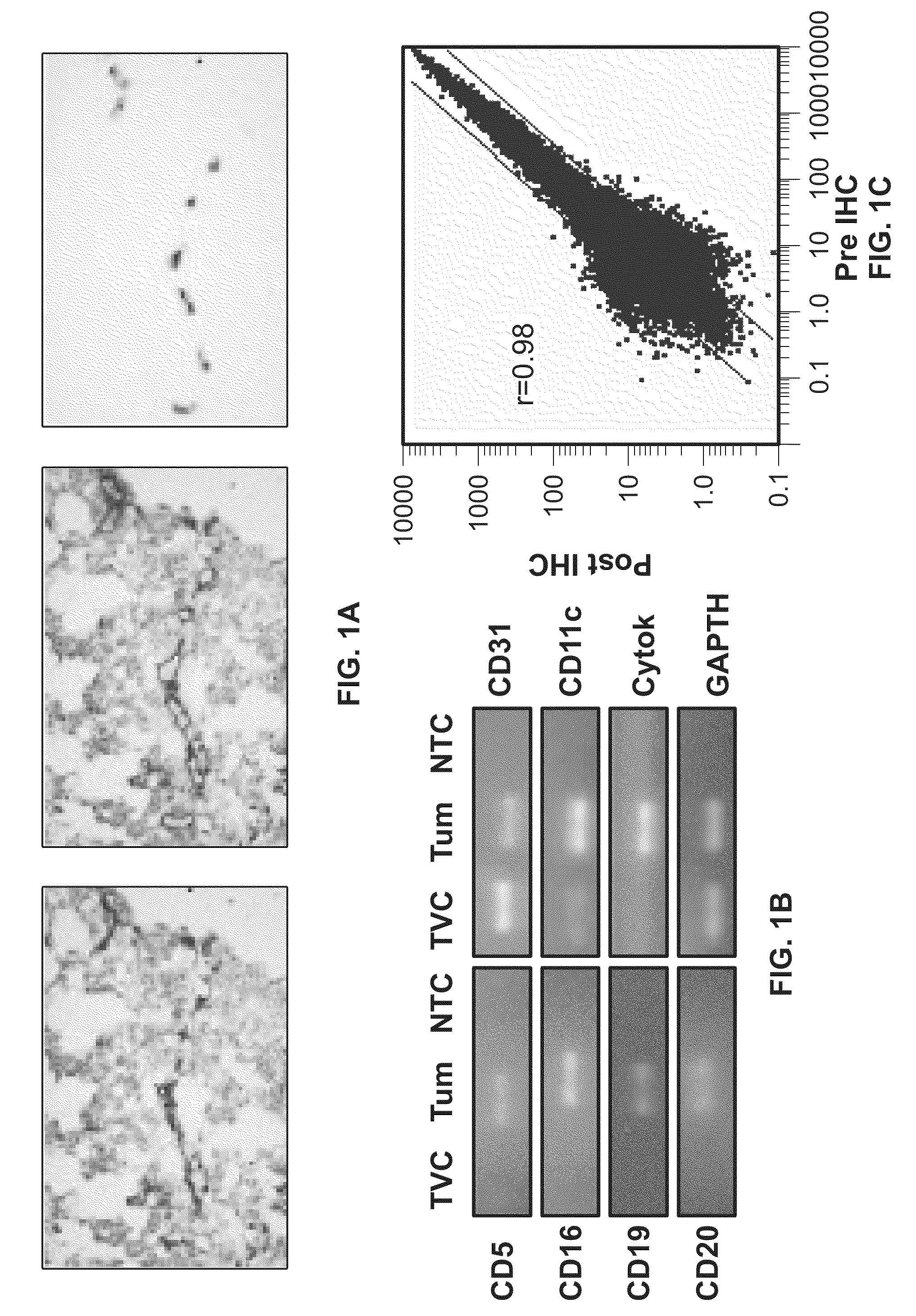 Methods and compositions for treating solid tumors and enhancing tumor vaccines