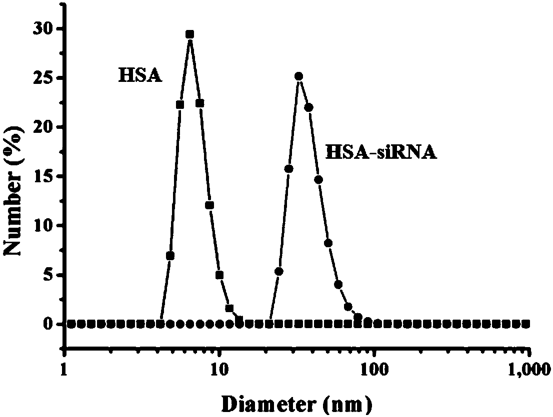 Novel albumin-siRNA composite nanometer particle, and preparation method and applications thereof