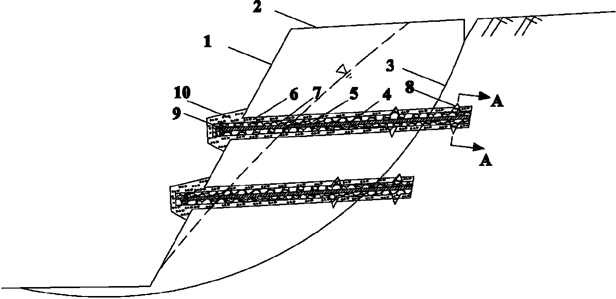 Water drainage anchor rod and construction method