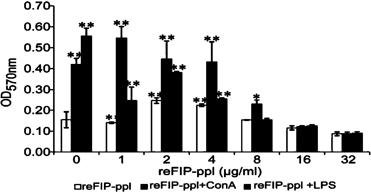 Immunomodulatory protein FIP-ppl of fungus and gene of protein