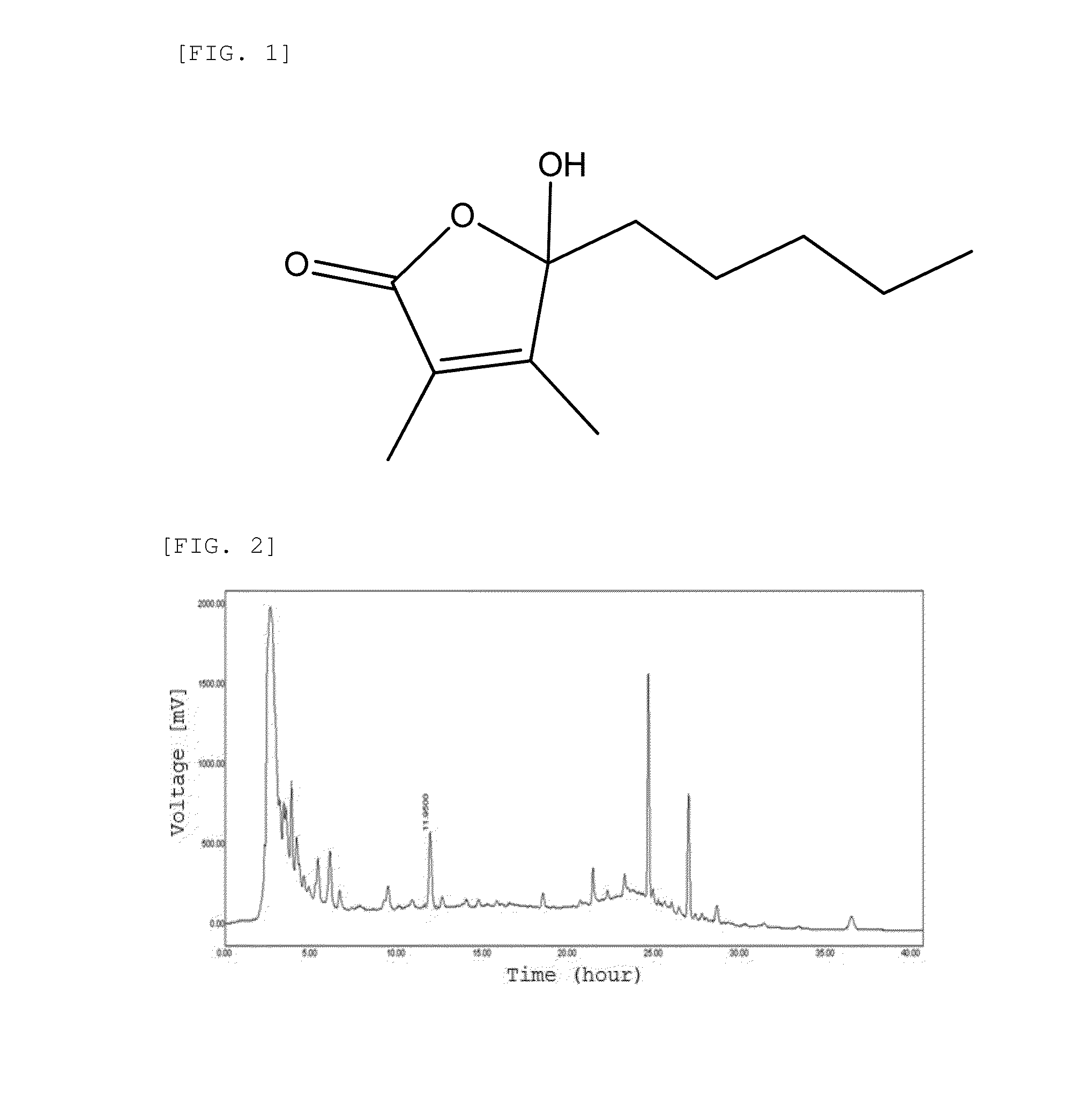 Composition for preventing hair loss and growing hair comprising hydroxydihydrobovolide