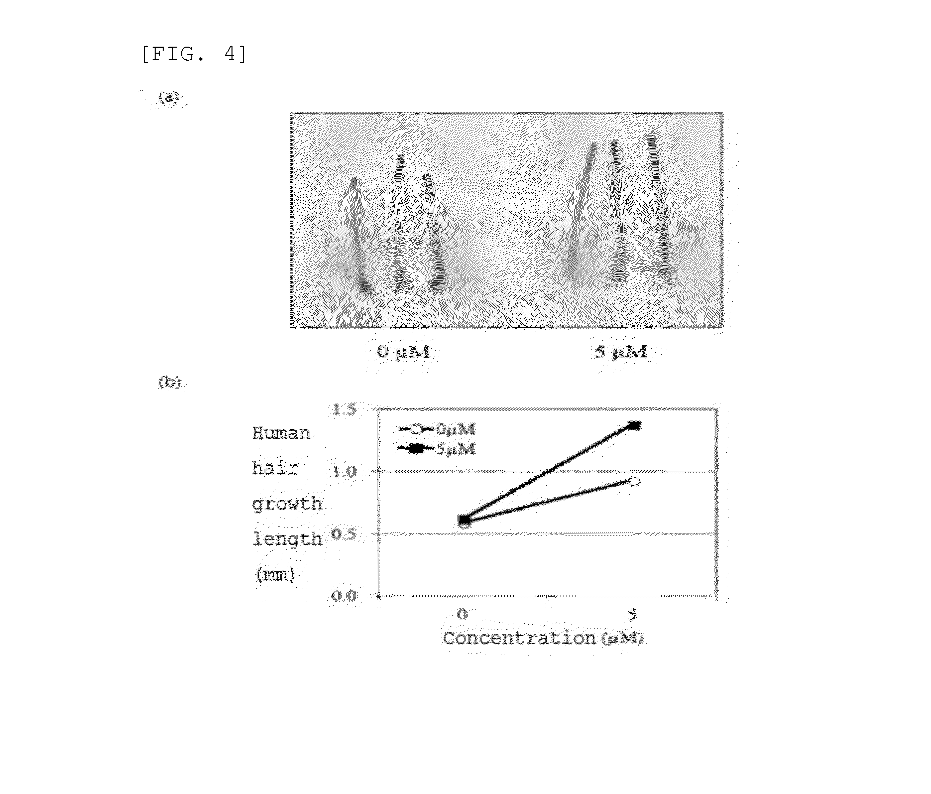 Composition for preventing hair loss and growing hair comprising hydroxydihydrobovolide