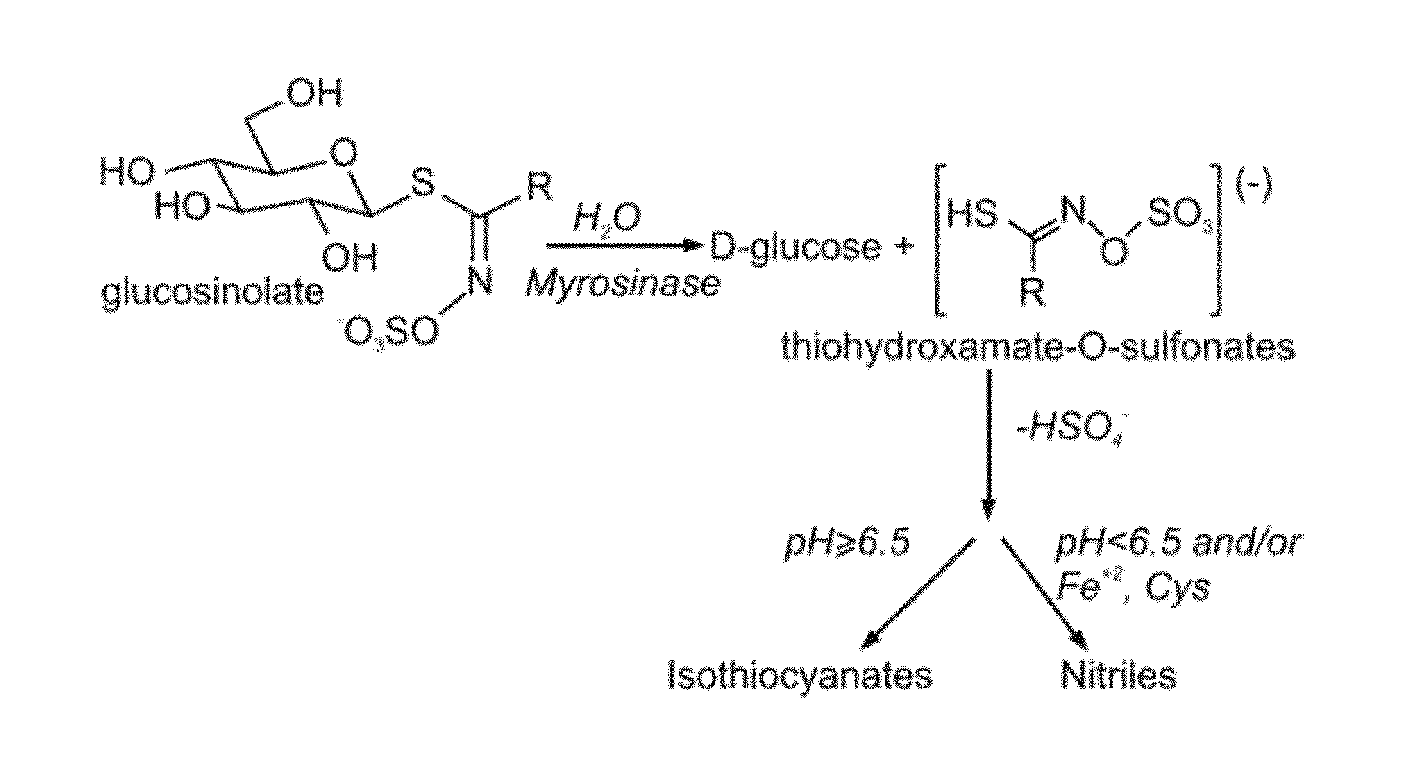 Methods and pharmaceutical compositions useful for treating psoriasis