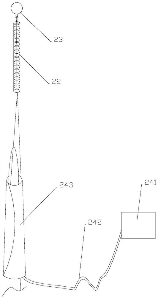 A tail-suspended squirrel cage