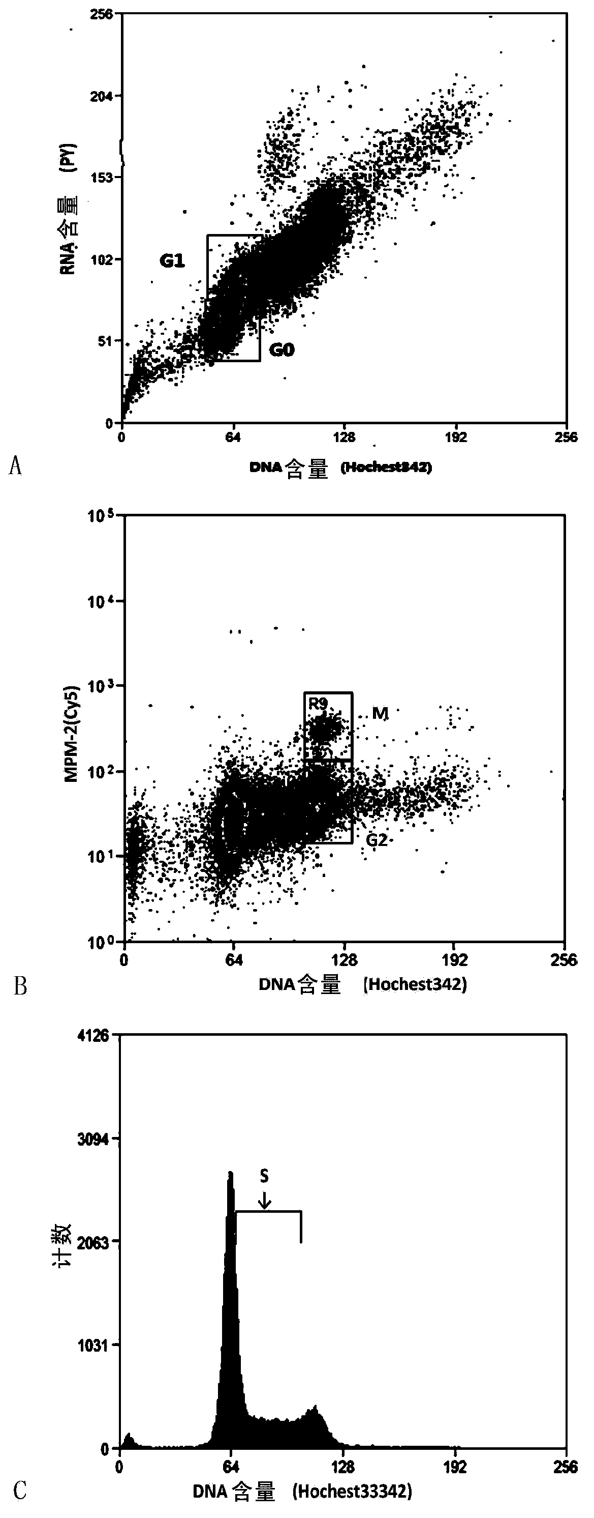 Method for accurately distinguishing cell cycle