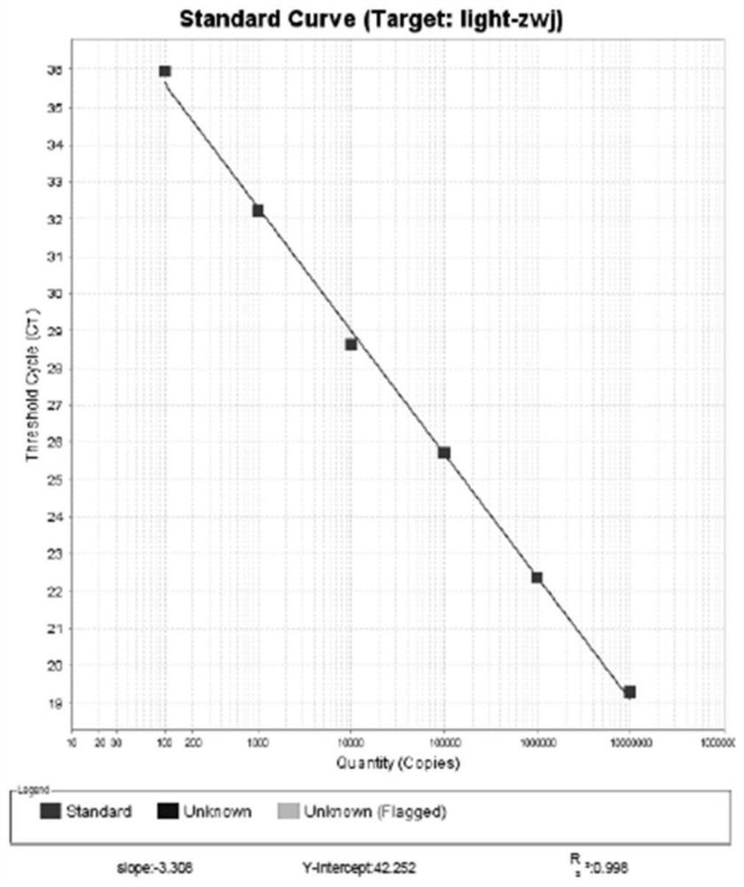 Primer probe composition for detecting cell genetic stability and application thereof