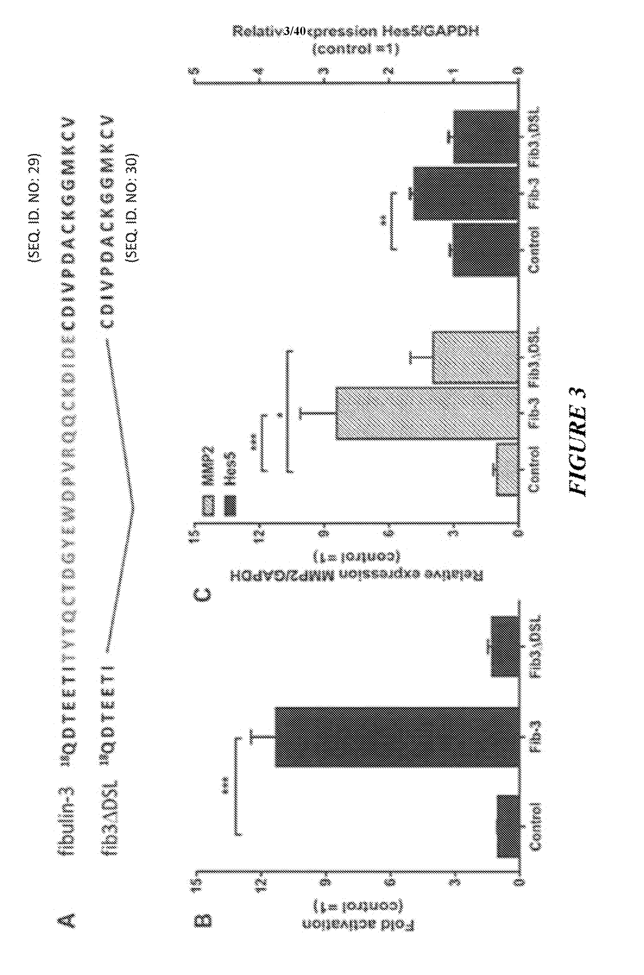 Anti-fibulin-3 antibodies and uses thereof