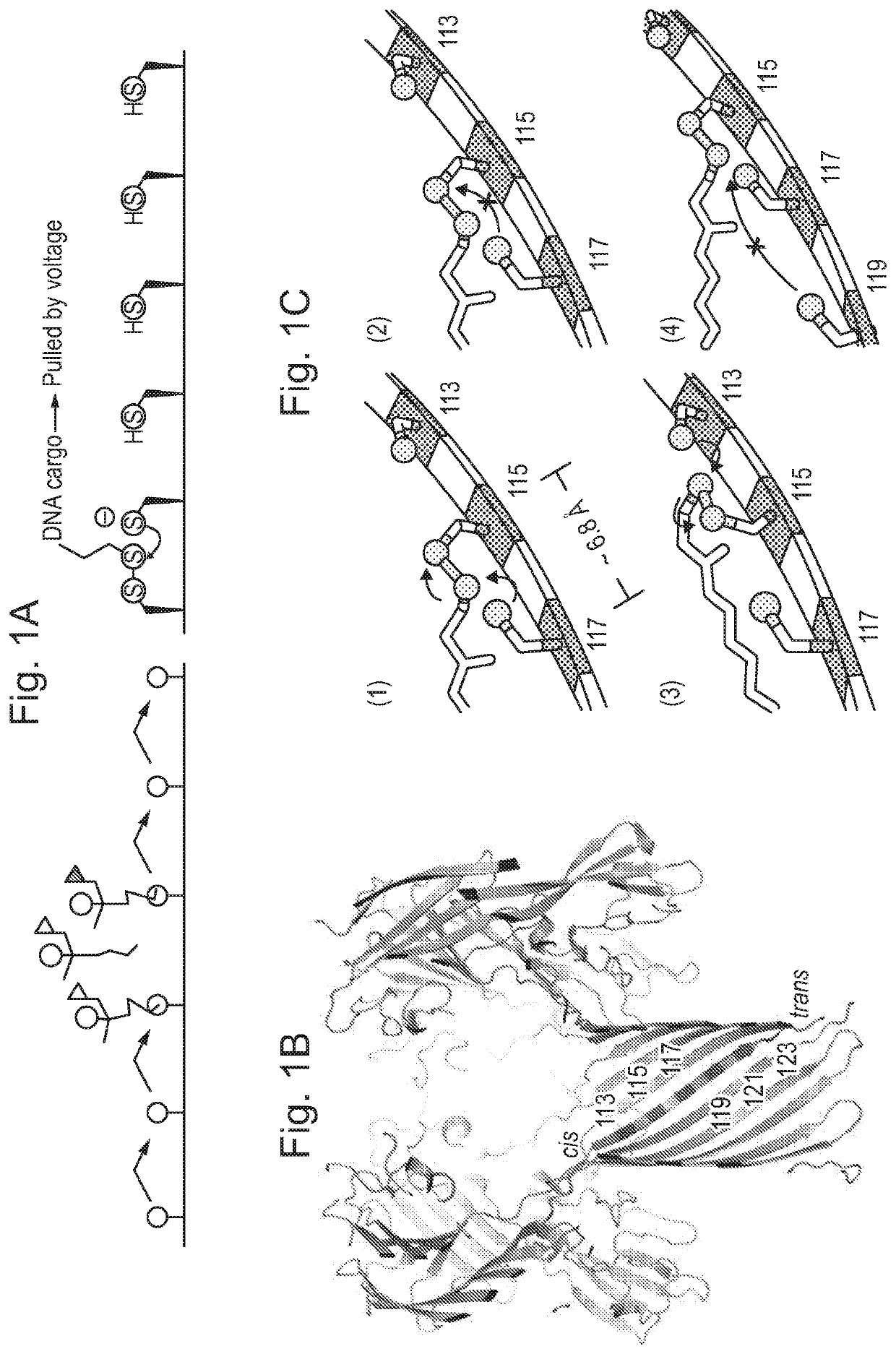 Molecular hopper