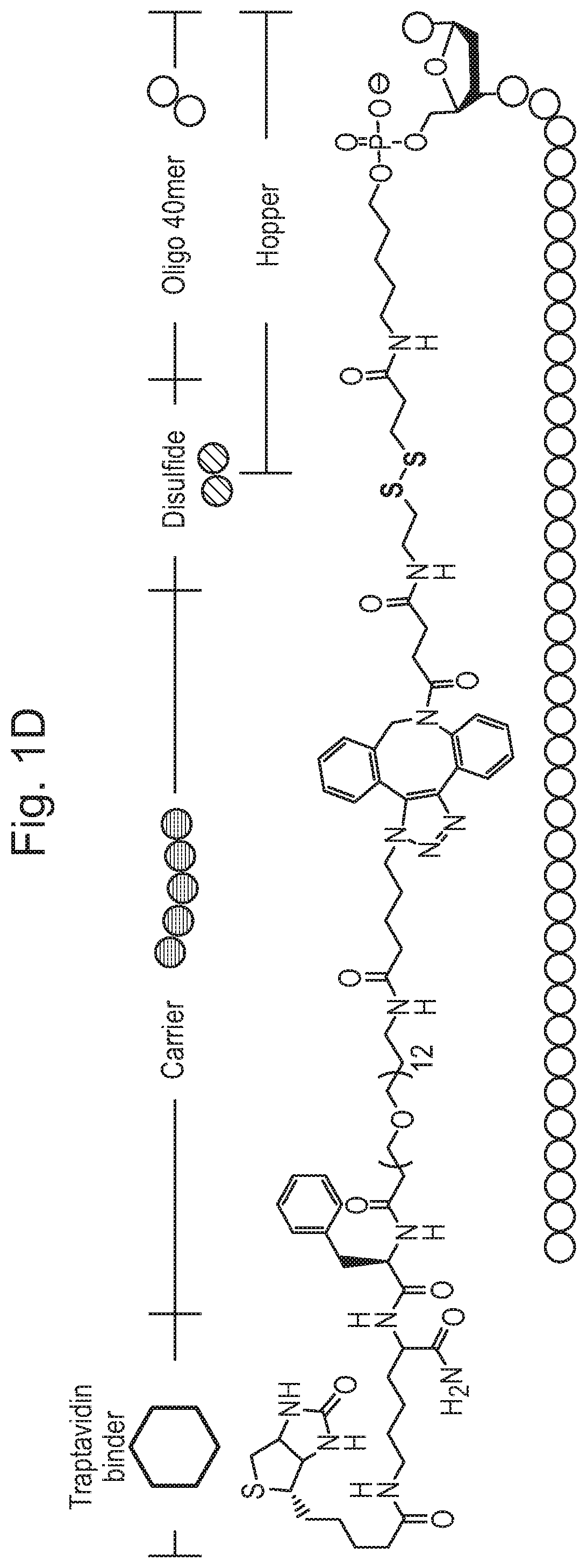 Molecular hopper