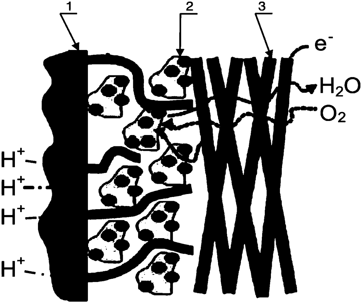 A fuel cell graphene gas diffusion membrane and preparation method thereof