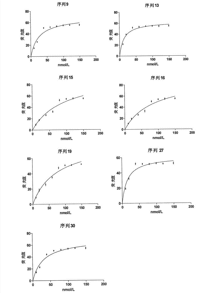 Group of oligonucleotides aptamers capable of specifically recognizing aflatoxin B1