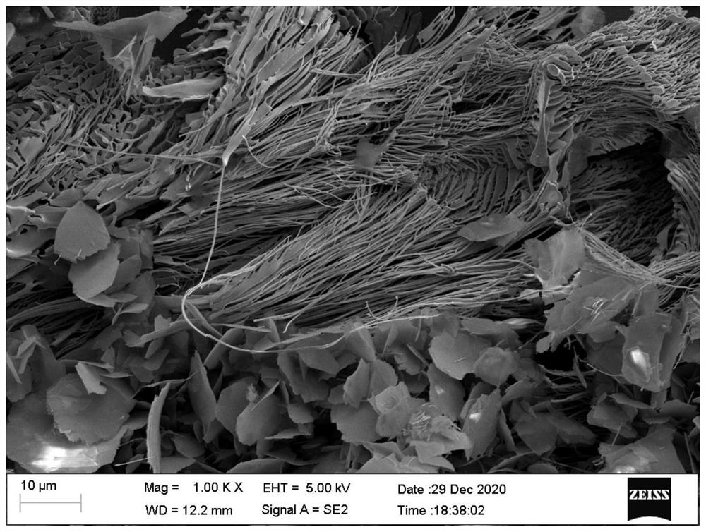 A kind of high thermal conductivity and low expansion deformation aluminum alloy and its preparation method