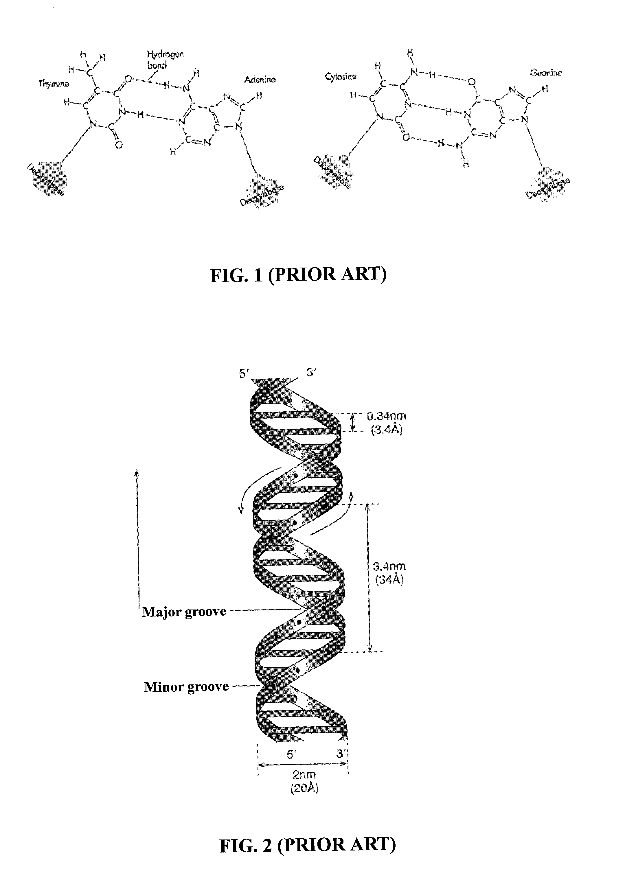 DNA-based integrated circuit