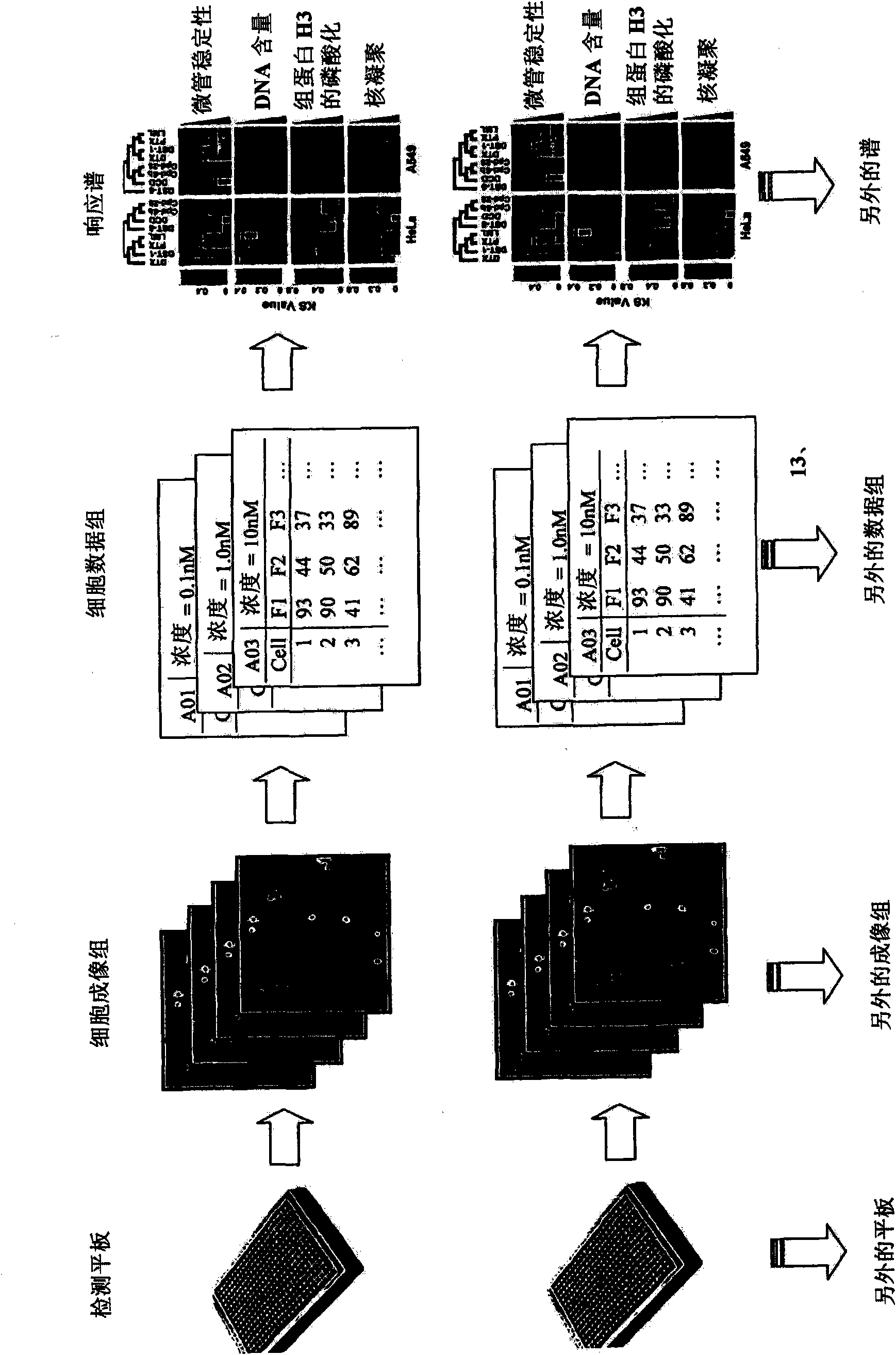 Method for predicting biological systems responses in hepatocytes