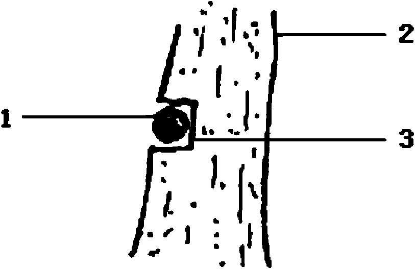 Tree grafting method for scion without interface