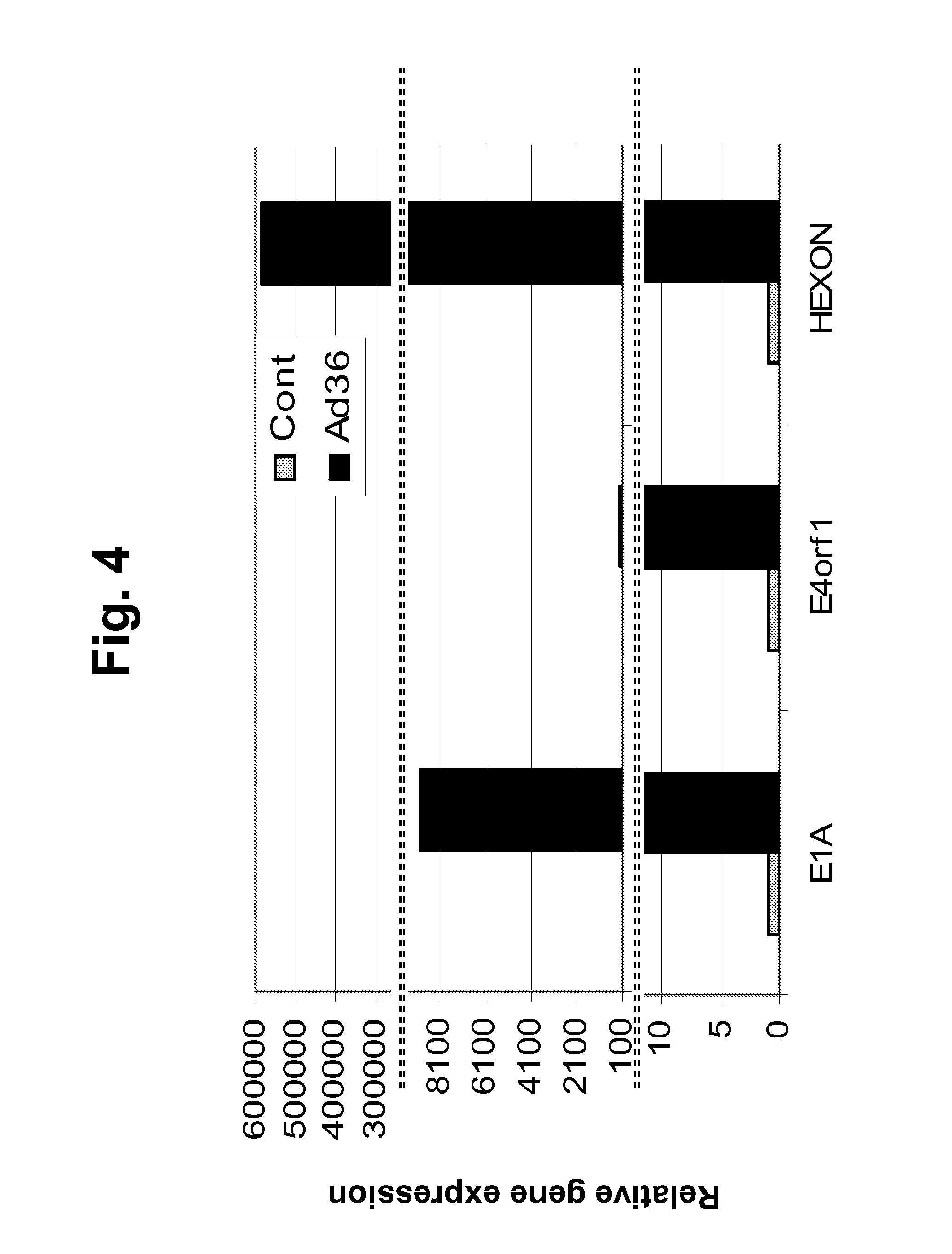 Compositions and Methods for the Treatment or Prevention of Human Adenovirus-36 Infection