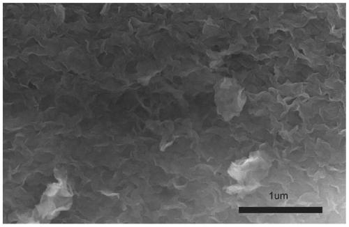 Photocatalyst and preparation method thereof