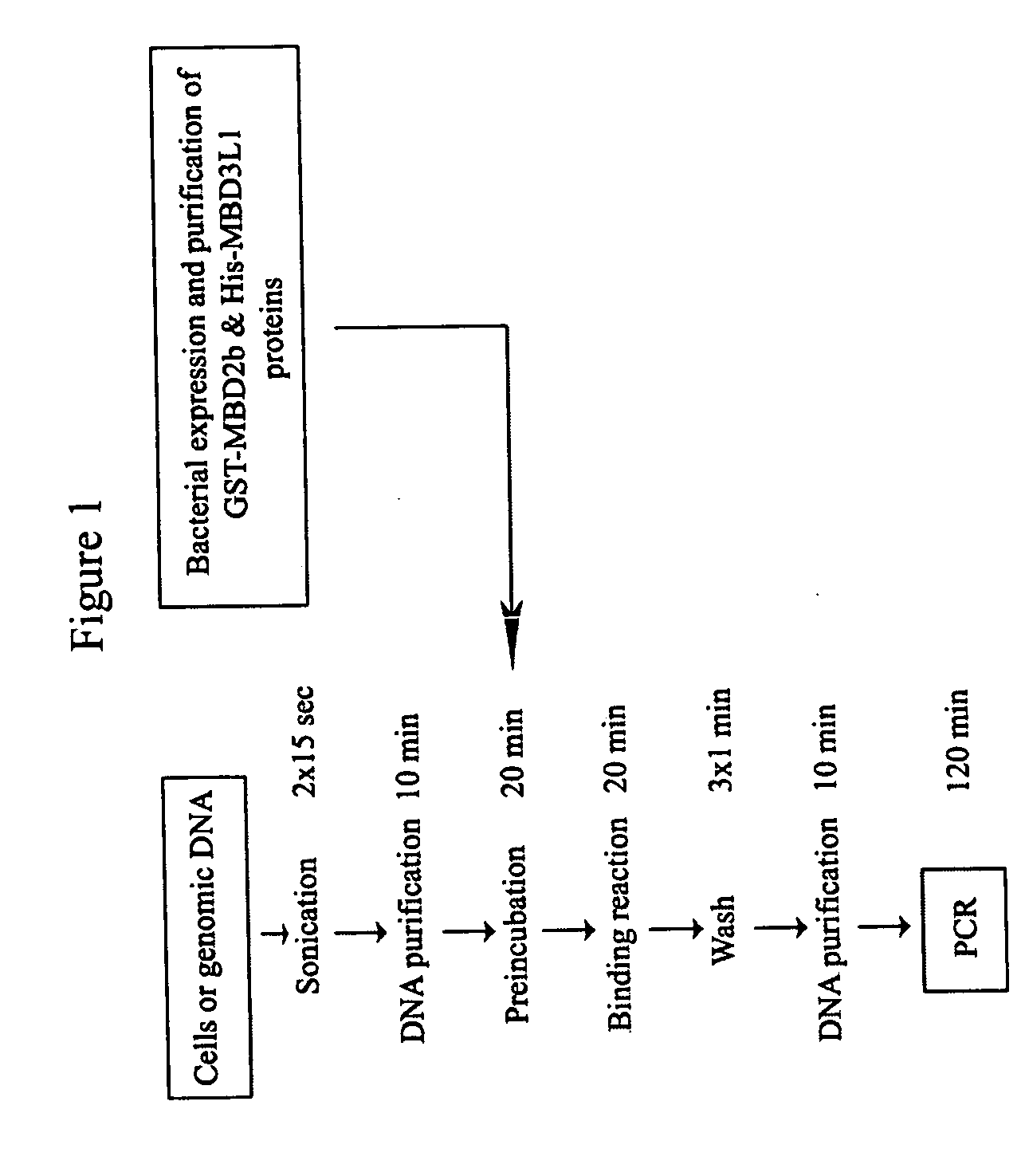 Method for detecting methylated CpG islands