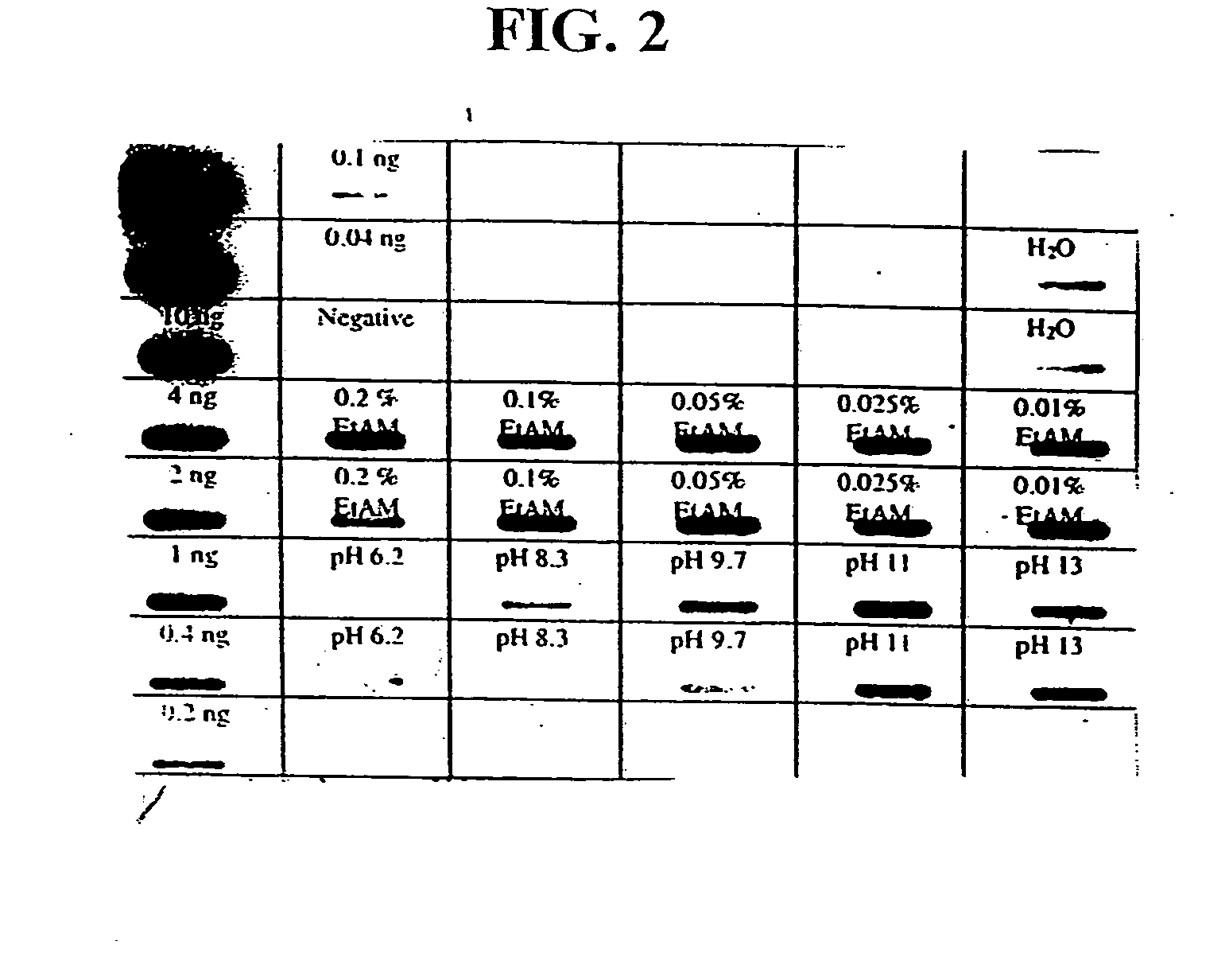 Compositions and methods for the release of nucleic acid molecules from solid matrices