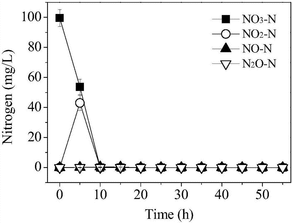 Achromobacter sp. capable of tolerating toxicity of sulfonamide antibiotics and application of achromobacter sp.