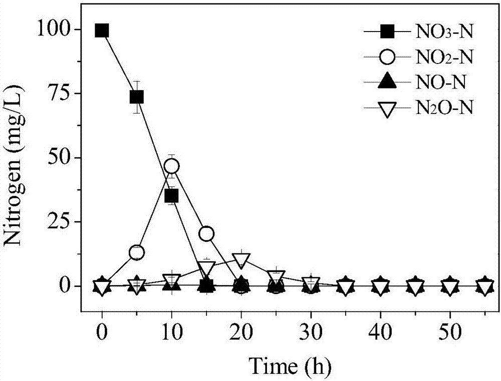 Achromobacter sp. capable of tolerating toxicity of sulfonamide antibiotics and application of achromobacter sp.