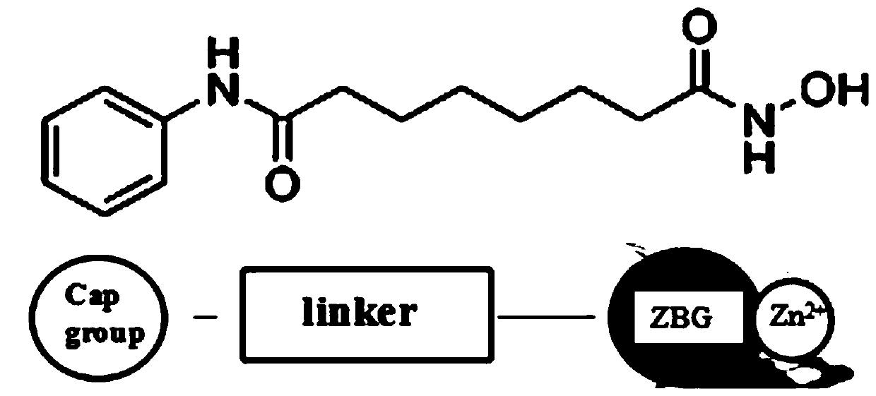 Antitumor application of phenolic nitrogen oxides as sirtuin inhibitors