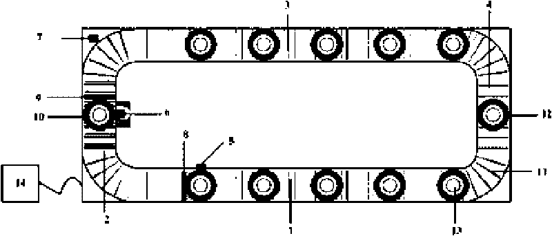 Automatic conveyor line for potted plant parameter measurement