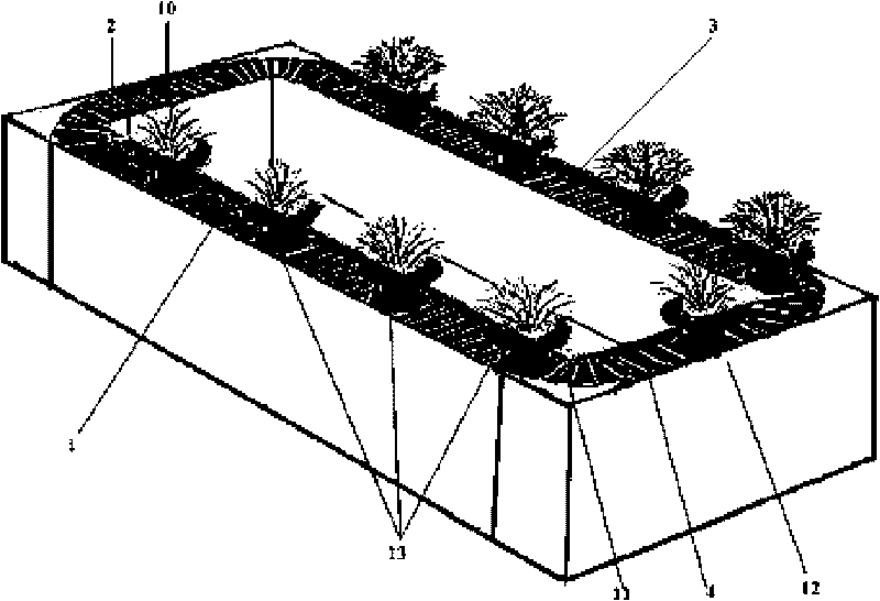 Automatic conveyor line for potted plant parameter measurement