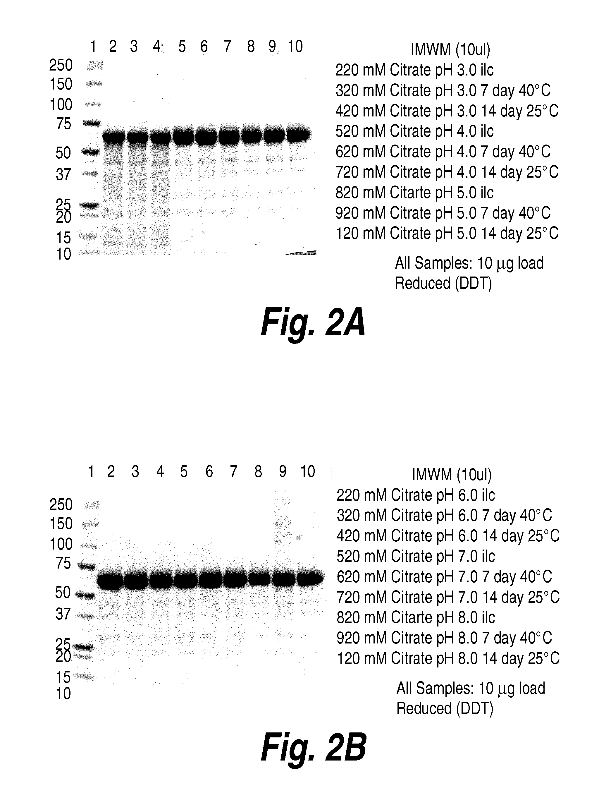 Methods and compositions for CNS delivery of heparan n-sulfatase