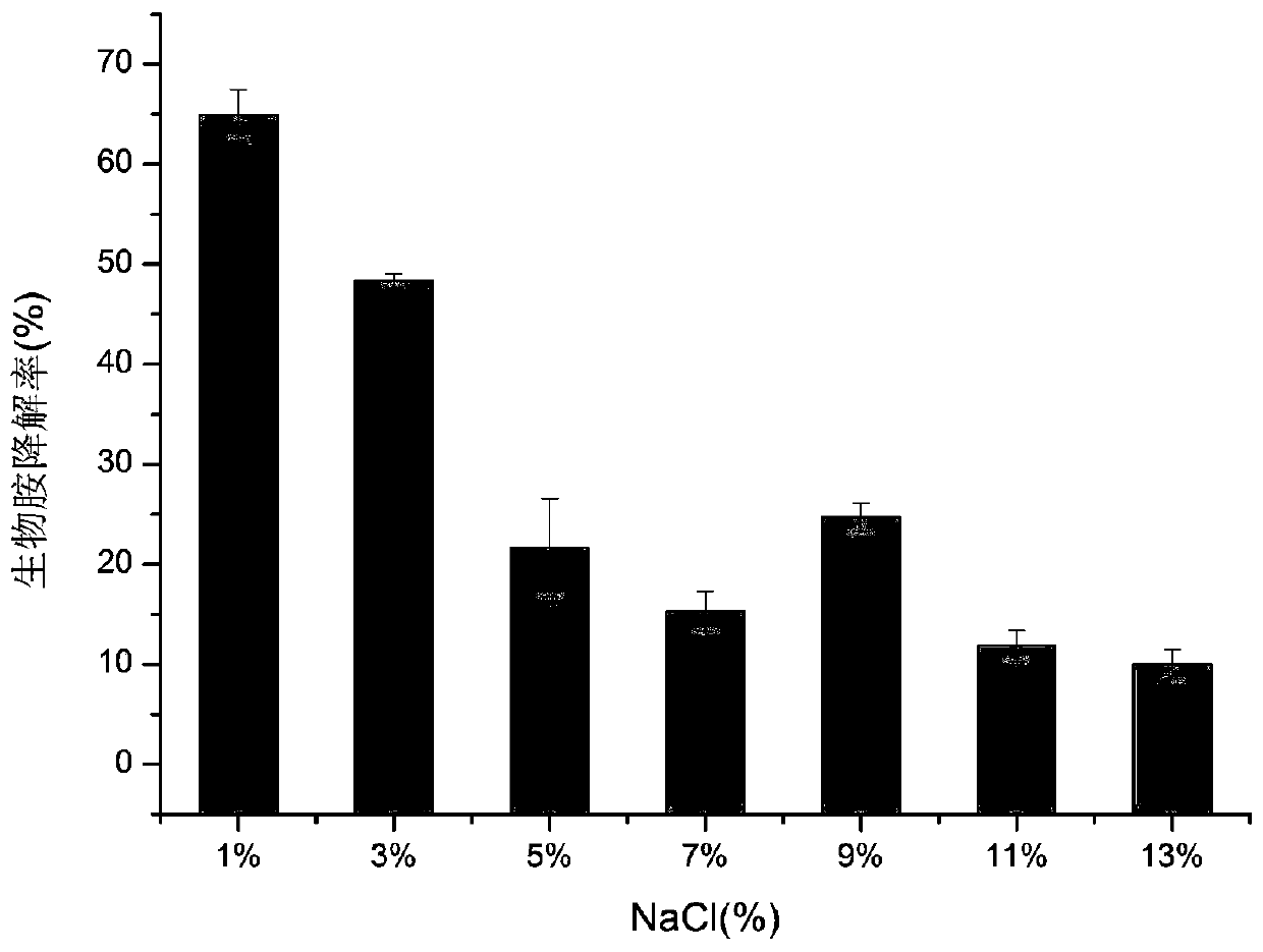 A strain of Bacillus amyloliquefaciens reducing biogenic amine and its application