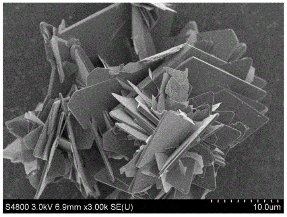 A kind of preparation method of card-shaped nh4v3o8 microcrystal