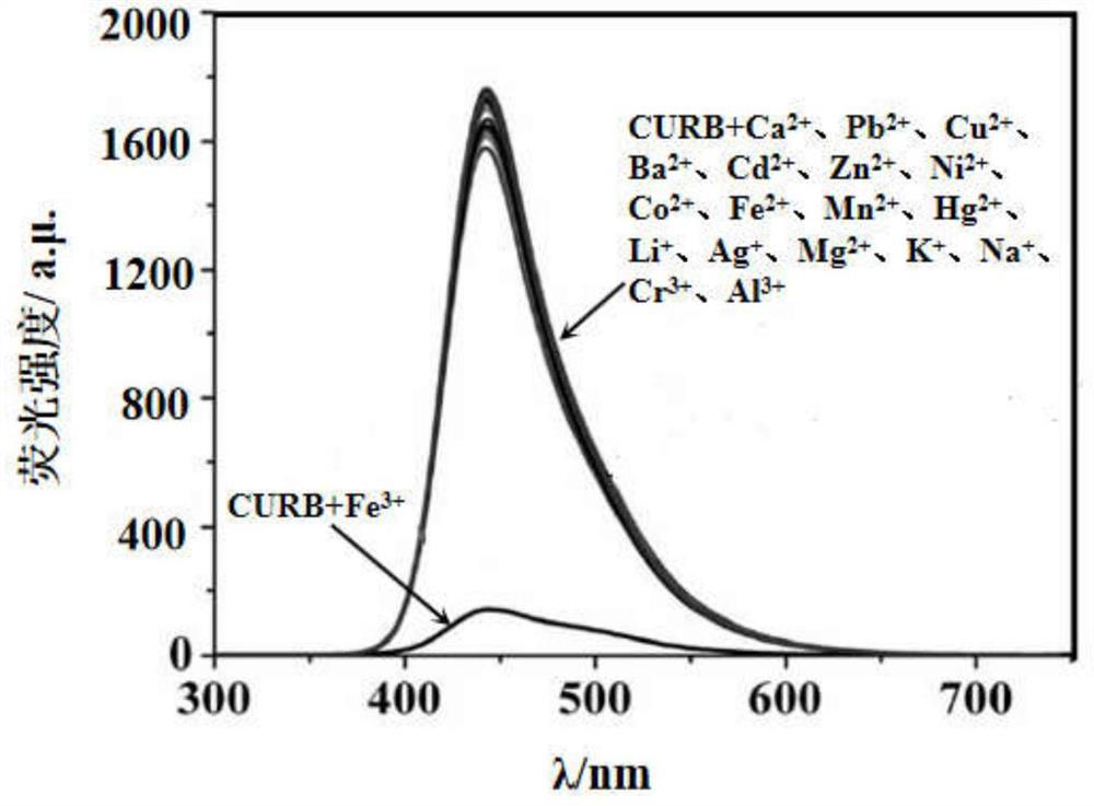 Curcumin-based Schiff base Fe 3+ fluorescent molecular probe and preparation method thereof