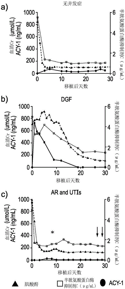 Use of ACY-1 as a marker of ischaemia/reperfusion, delayed graft function and graft viability as well as method thereof