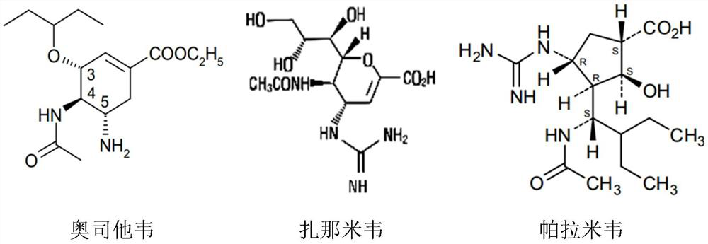 Pharmaceutical composition for treating influenza and preparation containing pharmaceutical composition