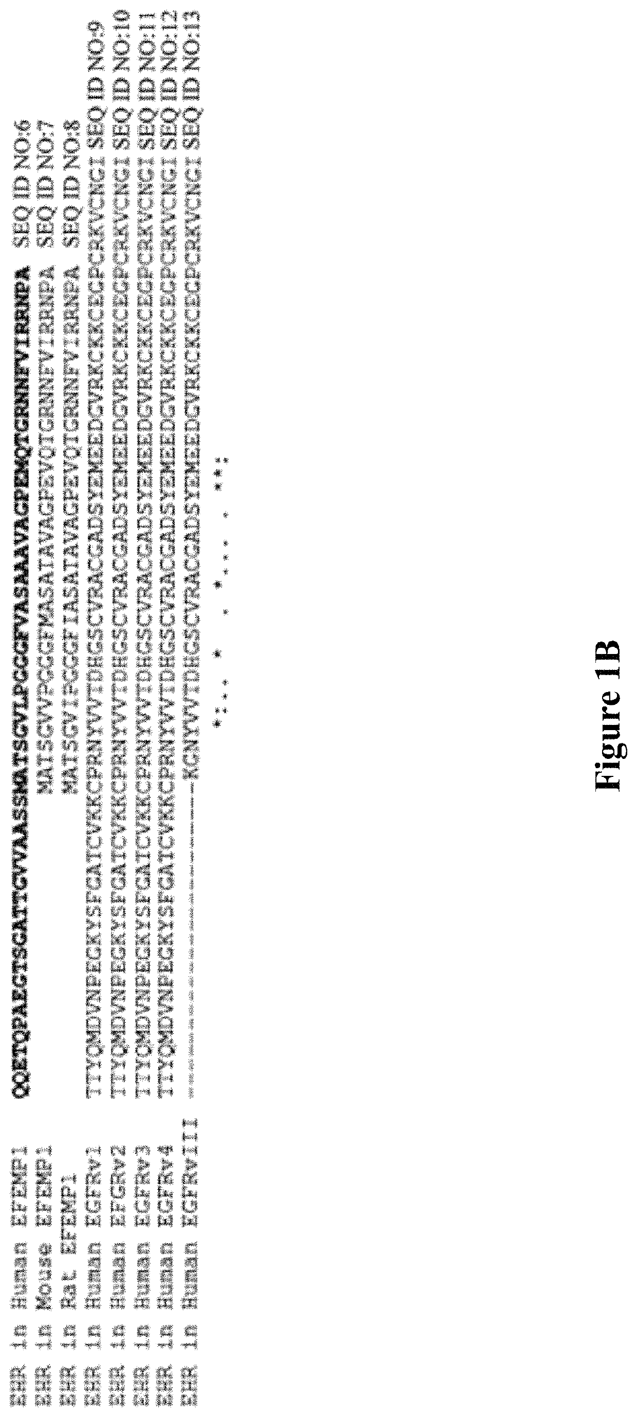 Protein therapeutant and method for treating cancer