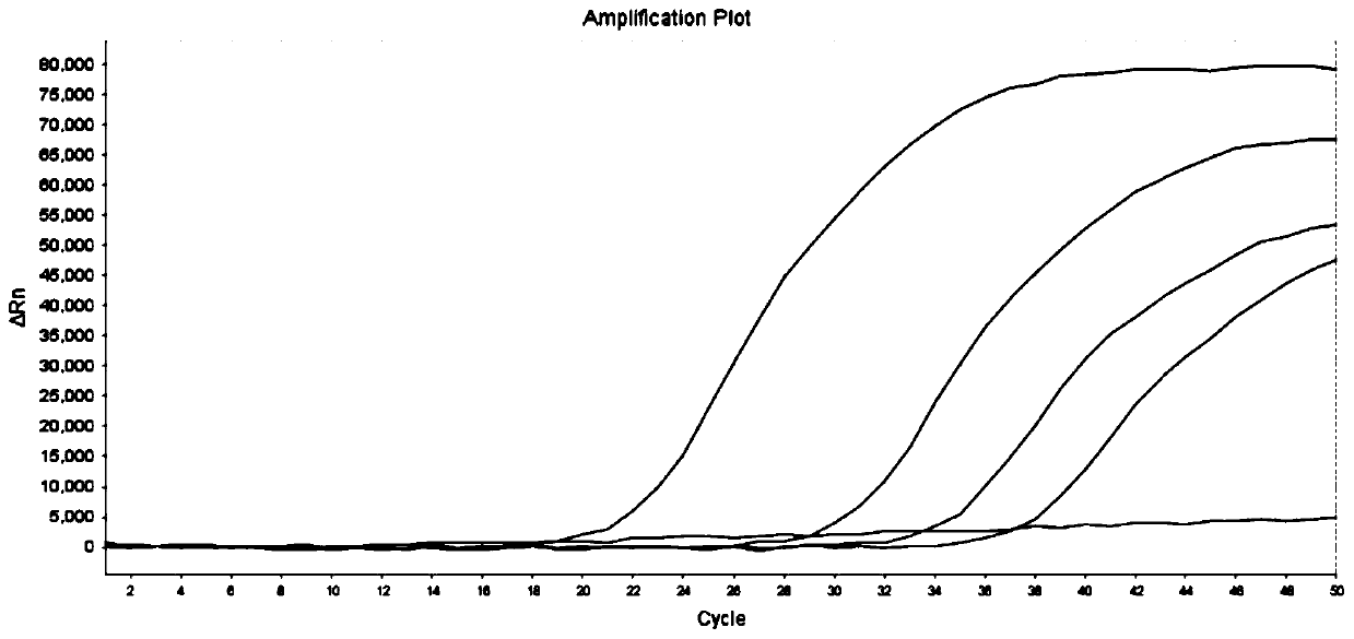 Primer, probe and reagent kit for predicting liver cancer susceptibility of patient suffering from hepatitis B