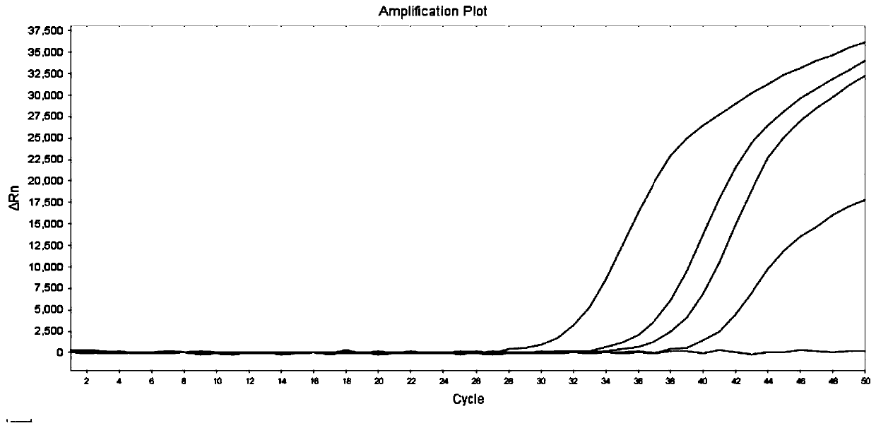 Primer, probe and reagent kit for predicting liver cancer susceptibility of patient suffering from hepatitis B