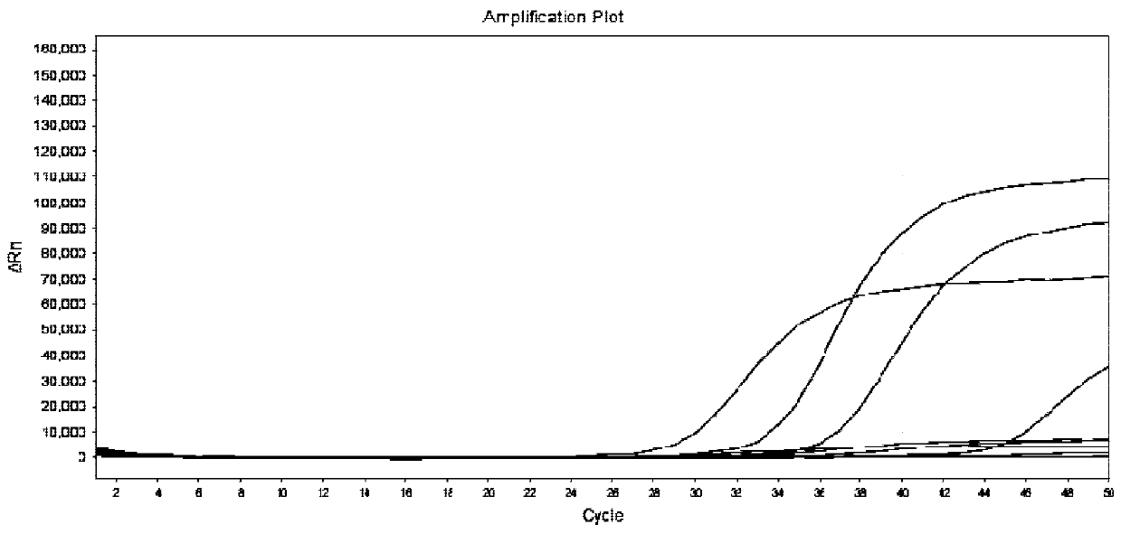 Primer, probe and reagent kit for predicting liver cancer susceptibility of patient suffering from hepatitis B