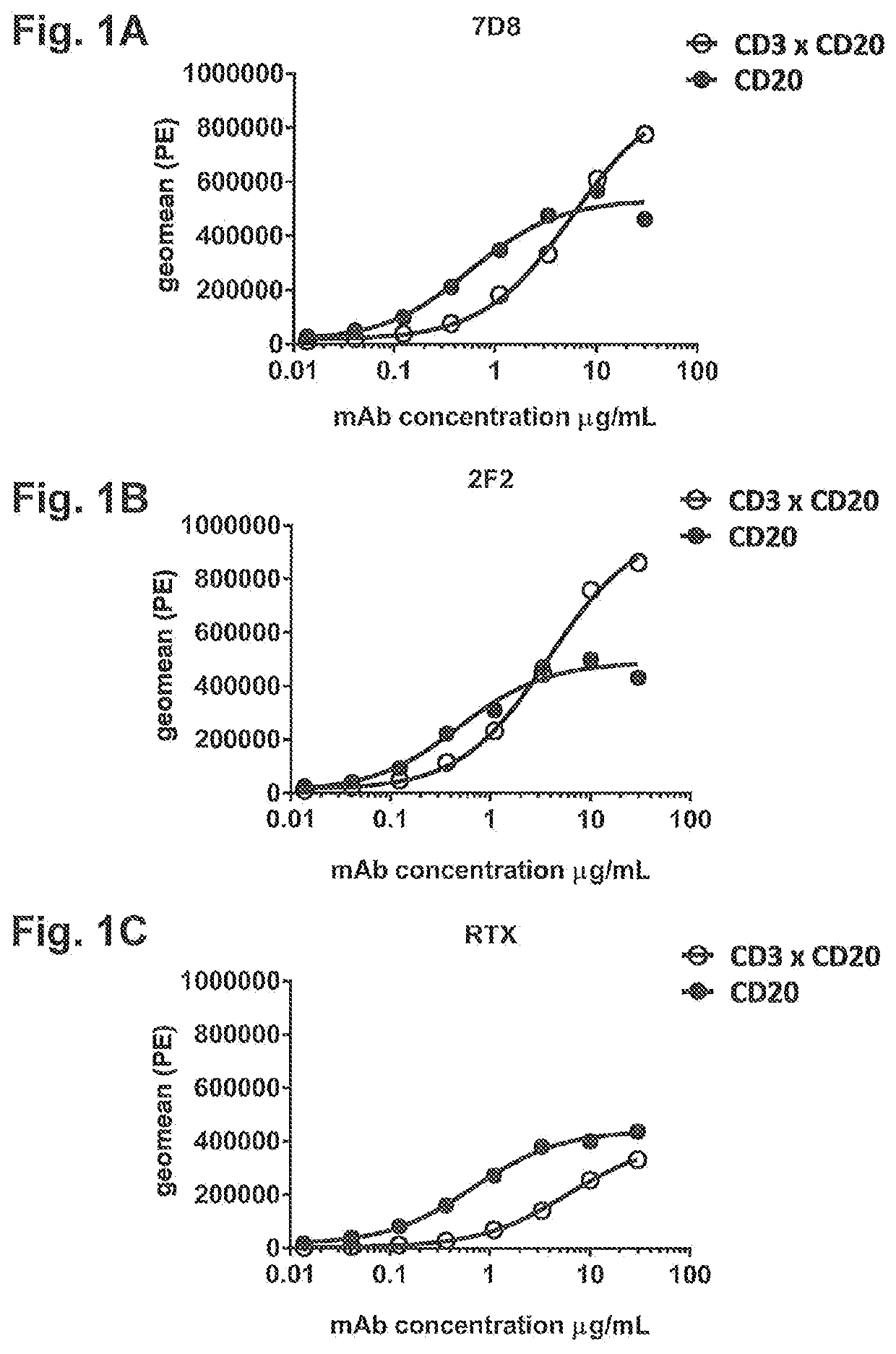 Bispecific antibodies against cd3 and cd20