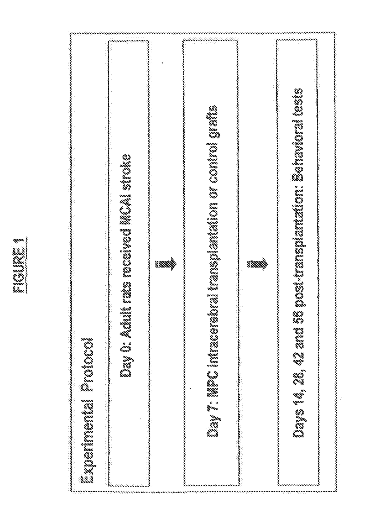 Mapc treatmentof brain injuries and diseases