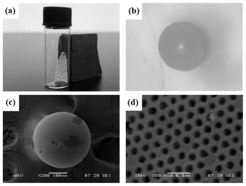 Magnetic photonic crystal microsphere for enriching and separating aflatoxin B1 as well as preparation method and application of magnetic photonic crystal microsphere
